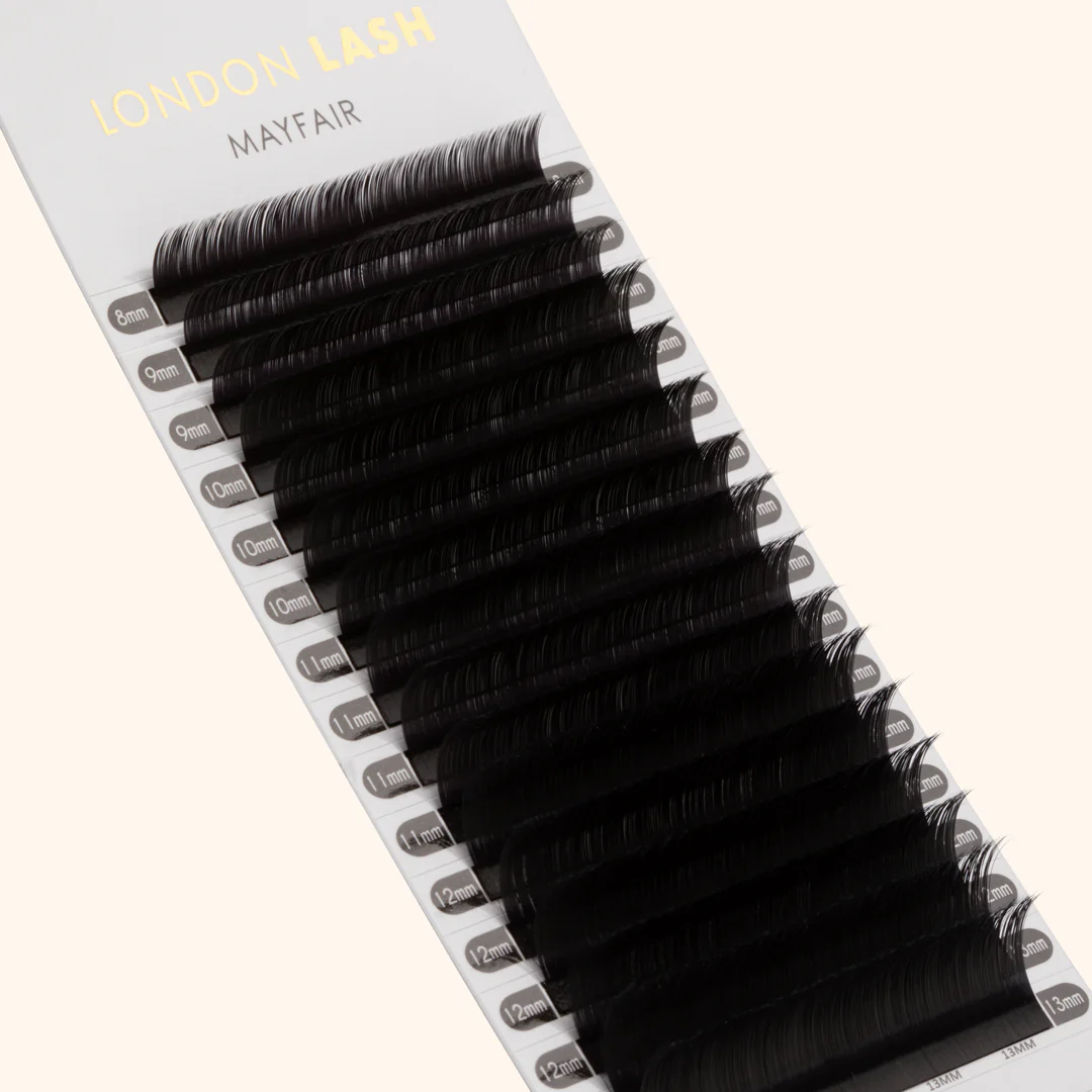 Lash Bestsellers